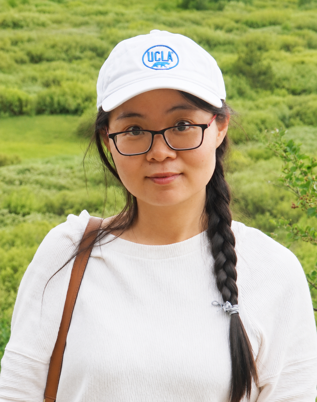 Professor Meng Gao